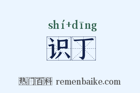 识丁是什么意思的图片